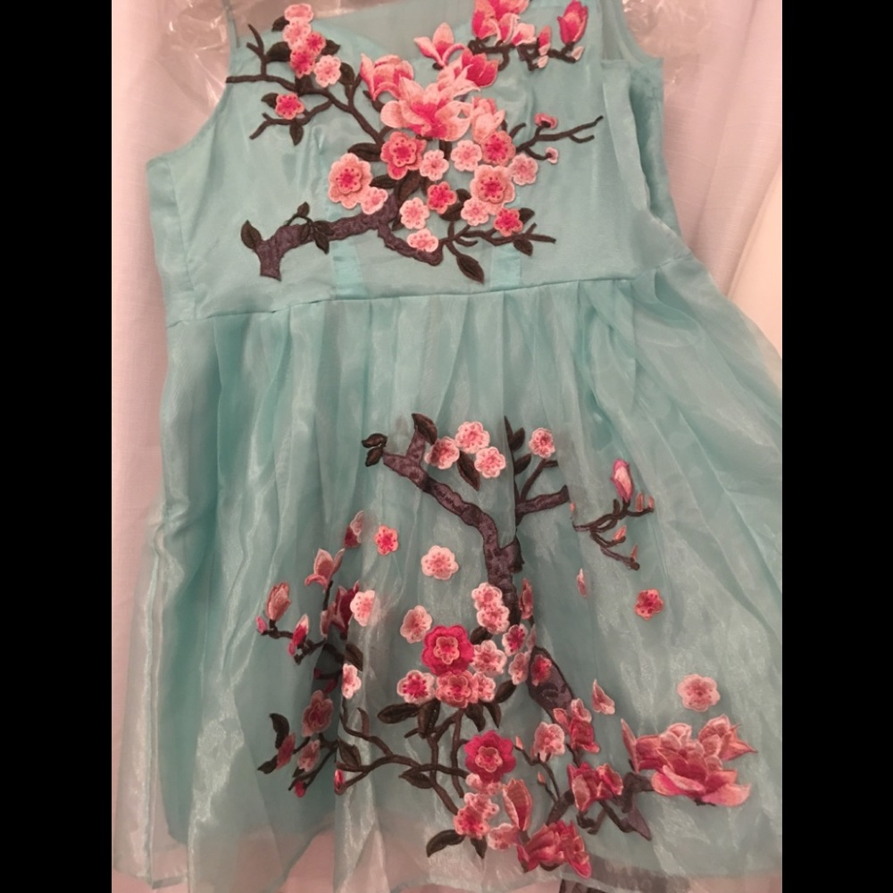 Embroidered dress